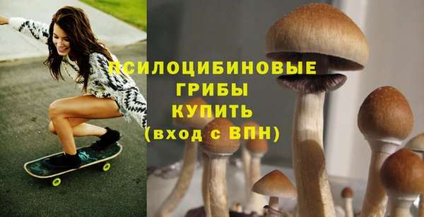 соль курить ск Алзамай