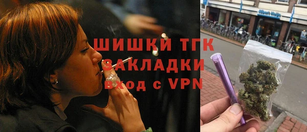 тгк Алексин
